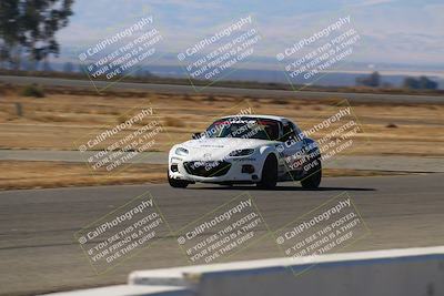 media/Nov-16-2024-CalClub SCCA (Sat) [[641f3b2761]]/Group 4/Grid and Front Straight/